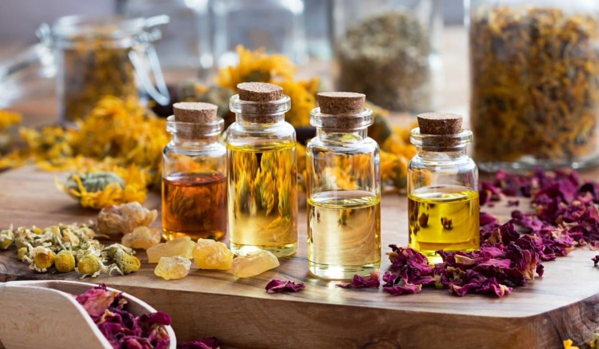 How fast does gilided extract take to shiupe